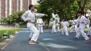 2014 August Kanazawa Kancho teaching in Hong Kong [upl. by Kronfeld]