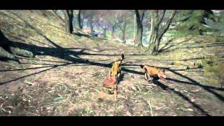 Dragons Dogma Class Skills  Strider Part 1 [upl. by Anitsyrc579]