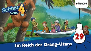 Schlau wie Vier  Folge 29 Menschenaffen Im Reich der Orang Utans  Hörspiel [upl. by Hcnarb]