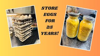 How to Freeze Dry Eggs  Freeze Dried Food  Long Term Storage [upl. by Ahl]