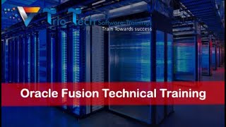 Oracle Fusion Technical Online Training  Day 3  TrioTech [upl. by Ayinat]