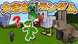 生物の大きさがランダムな世界でサバイバルしてみた。（カラフルピーチ ）【マインクラフト】 [upl. by Hedva]