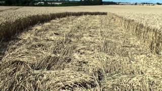 Crop Circle at Hackpen Hill 2682012 [upl. by Tench]