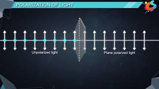 16  Class 12  Physics  Wave Optics  Polarisation [upl. by Mckeon673]