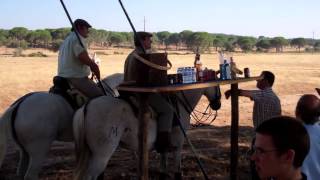 Acoso e Derribo  Horse Experience  Portugal  Sucandi [upl. by Cchaddie962]