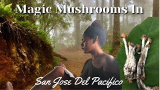 Plant Medicine Magic Ceremony in Mexico  San Jose Del Pacifico [upl. by Ahsiekat]