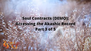 Soul Contracts DEMO Accessing the Akashic Record  Part 3 of 5 [upl. by Eecats]