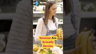 Why Bananas Are Classified As Berries [upl. by Simsar]