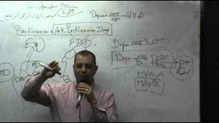 DrAhmed AbdelRahman  CNS 8  Antiparkinsonian Drugs [upl. by Atil]