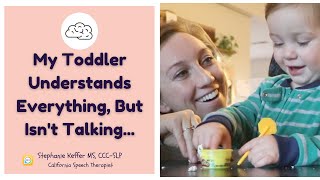 My Toddler Understands But Isn’t Talking Learn How To Help From A Speech Therapist [upl. by Htidirem]