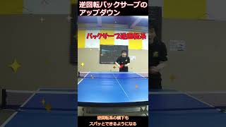 【ショート】第４弾は逆回転バックサーブ（アップダウンサーブ）卓球 tabletennis 乒乓球 pingpong 有益 サーブ service アップダウンサーブ [upl. by Lipinski]