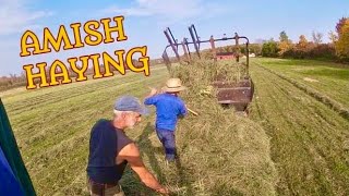 Making Hay With The Amish [upl. by Ayekel845]