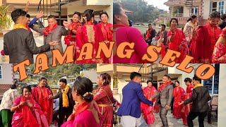 Tamang selo dance song 2023 [upl. by Dallman]