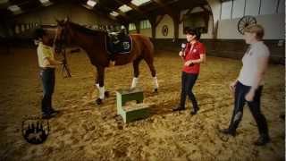 Loesdau Lessons Basics mit Kati Die Reitbahnregeln [upl. by Urias]