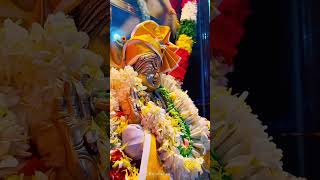 Saranam Ayyappa Swamy Saranam swamiyesaranamayyappasongs [upl. by Junina]