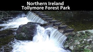 Northern Ireland  Tollymore Forest Park [upl. by Ennaesor]