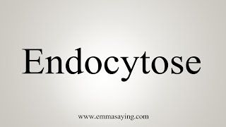 How To Say Endocytose [upl. by Aisyat]