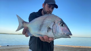 How to Catch Big Porgy Scup 52723 Northshore Long Island [upl. by Akoyn20]