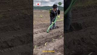 Seed Sowing amp Fertilizing Hand Tool [upl. by Celle376]