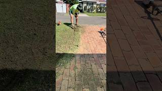 Cutting back another overgrown edge satisfying asmr lawn [upl. by Aleck]