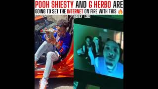 Pooh Shiesty amp G Herbo  Switch It Up Official Music Video Snippet [upl. by Theresita311]