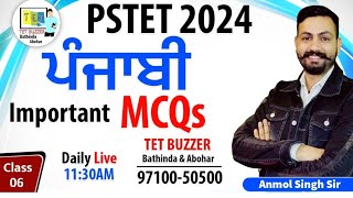 PSTET 2024  Punjabi Important Questions 06  Important Questions  TET BUZZER [upl. by Ardnusal]