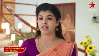 Paluke Bangaramayena  Promo  13th Nov 2024  Star Maa Serials  MonSat at 130 pm  Star Maa [upl. by Mcdermott]