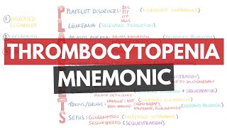 Causes of Thrombocytopenia Mnemonic  PLATELETS  What are the causes of thrombocytopenia [upl. by Nnodnarb607]