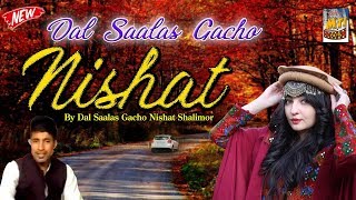 Newly Kashmiri Folk Song In 2015  Dal Saalas Gacho Nishat Shalimor  Lyrics Ameen [upl. by Aramenta]