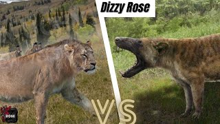 American Lion vs Hyaenodon Gigas 2024 [upl. by Vitus]