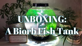 Unboxing A Biorb Fish Tank [upl. by Adekahs555]