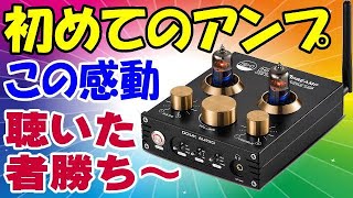 初めてのアンプにお勧めの逸品はコレだ！ Nobsound P1 PRO オールマイティに使える真空管アンプ [upl. by Haff]