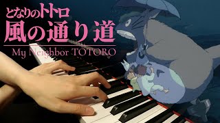 【Inside a pianists head】My Neighbor Totoro quotThe Wind Forestquot  Piano Cover【HARD】 [upl. by Bouton11]