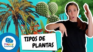 Descubre los Tipos de Plantas en Lengua de Signos  Happy Learning 🌱🌸🌳 [upl. by Oinigih]