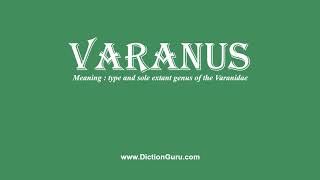 How to Pronounce varanus with Meaning Phonetic Synonyms and Sentence Examples [upl. by Ahsirpac722]