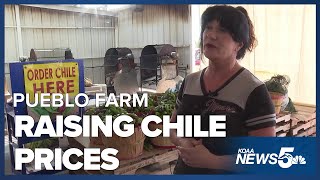 Pueblo farm raises price on their chiles by five dollars a bushel [upl. by Hewie]