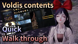 Lost Ark All Voldis contents quick walk through [upl. by Htims897]