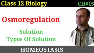 Osmoregulation  Osmoregulation in Animals  Solution  Types of Solution [upl. by Akimert]