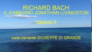 Richard Bach  Il Gabbiano Jonathan Livingston  Capitolo 6 Audiolibro [upl. by Fosdick]