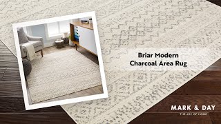 Briar Modern Charcoal Area Rug [upl. by Htebasyle41]