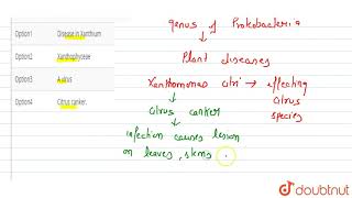 Xanthomonas citri is related to [upl. by Parrie]