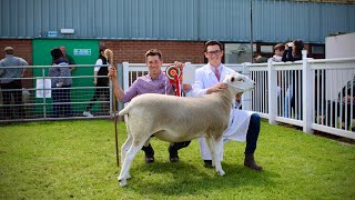 BREED CHAMPION  A SHOW TO REMEMBER  Staffordshire County Show 2022 [upl. by Naivart]