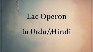 Regulation Of lac Operon  Regulation of Gene Expression  In Urdu or Hindi 🆗 [upl. by Terryn]