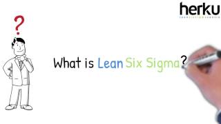 Lean Six Sigma Explained  animation [upl. by Kapor386]