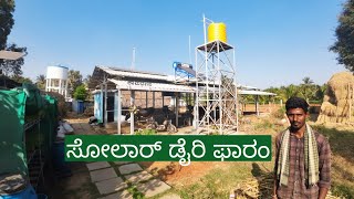 Solar powered dairy farm dairy farm kannada [upl. by Early]