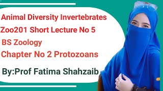 Phylum Apicomplexalife cycle of parasitesZoo201 Vu short lectureZoology by Fatima Shahzaib [upl. by Baskett398]