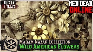 Wild American Flower Collection All Plant Locations Cycle 2 Red Dead Online RDR2 [upl. by Alice]