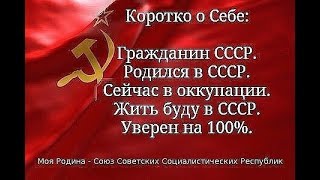 Граждане СССР Иркутск выборы депутатов 9092018 [upl. by Maridel137]