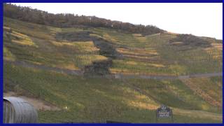 Weinfest in Altenahr und Maischoß [upl. by Sergent]