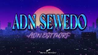 ADN SEWEDO  ADN EST MORT Audio officiel [upl. by Braswell120]